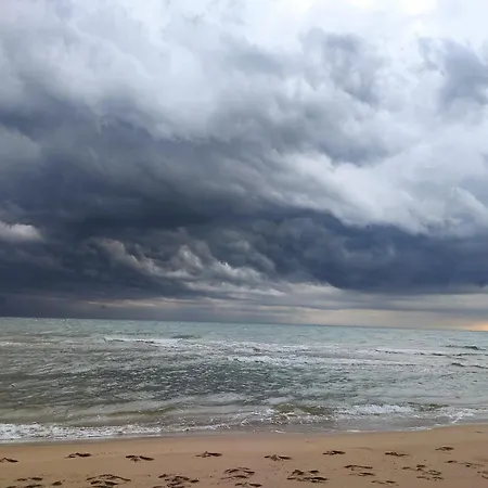 Tere Appartement Oliva